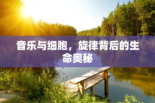 音乐与细胞，旋律背后的生命奥秘