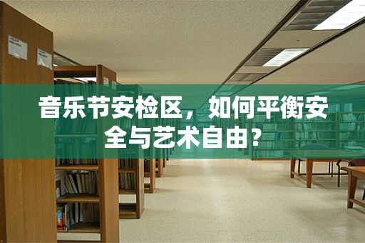 音乐节安检区，如何平衡安全与艺术自由？