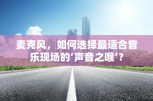 麦克风，如何选择最适合音乐现场的‘声音之喉’？