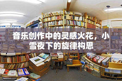 音乐创作中的灵感火花，小雪夜下的旋律构思