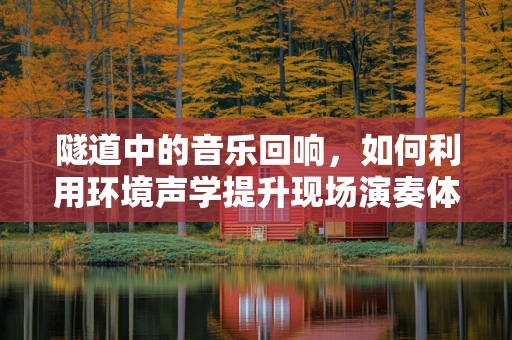 隧道中的音乐回响，如何利用环境声学提升现场演奏体验？