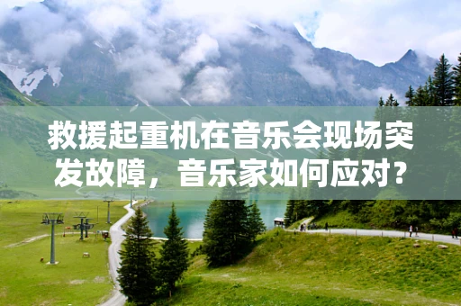救援起重机在音乐会现场突发故障，音乐家如何应对？