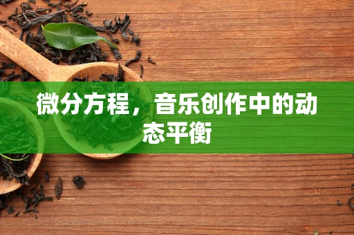 微分方程，音乐创作中的动态平衡