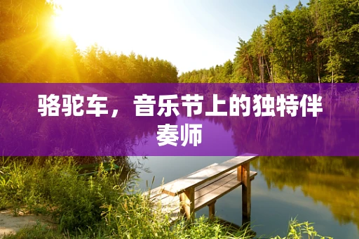 骆驼车，音乐节上的独特伴奏师