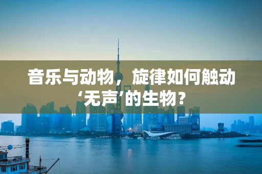 音乐与动物，旋律如何触动‘无声’的生物？