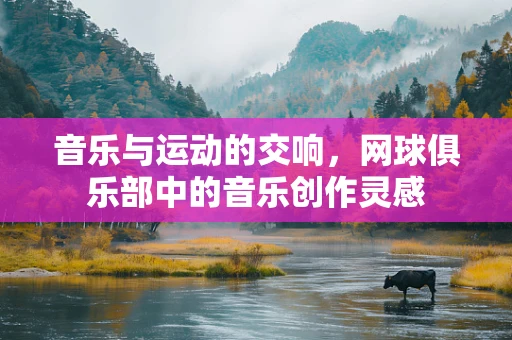音乐与运动的交响，网球俱乐部中的音乐创作灵感