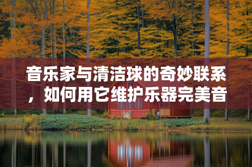 音乐家与清洁球的奇妙联系，如何用它维护乐器完美音质？