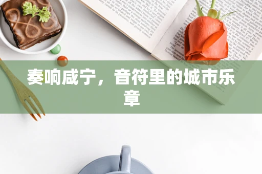 奏响咸宁，音符里的城市乐章