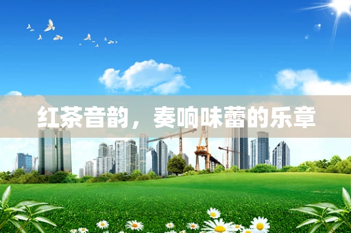 红茶音韵，奏响味蕾的乐章