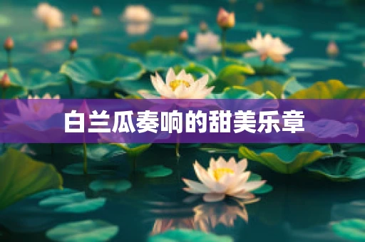 白兰瓜奏响的甜美乐章