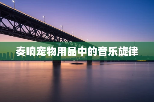 奏响宠物用品中的音乐旋律
