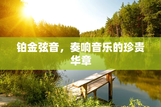 铂金弦音，奏响音乐的珍贵华章