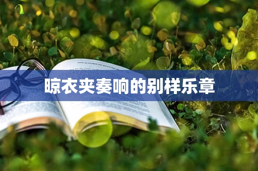 晾衣夹奏响的别样乐章