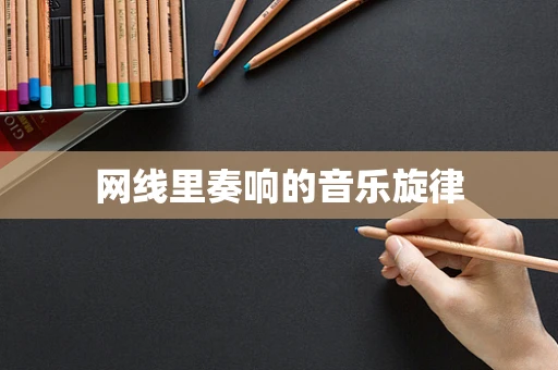 网线里奏响的音乐旋律