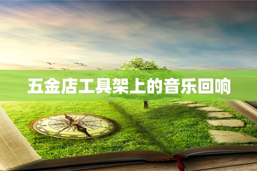五金店工具架上的音乐回响
