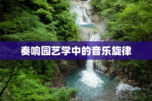 奏响园艺学中的音乐旋律