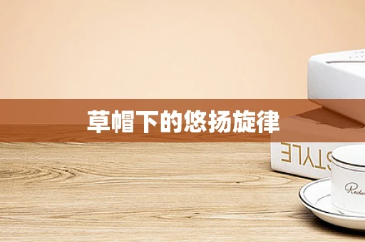 草帽下的悠扬旋律