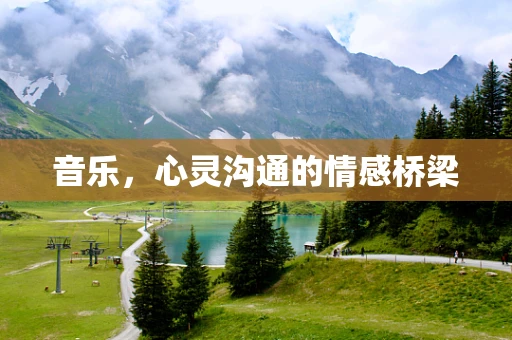 音乐，心灵沟通的情感桥梁