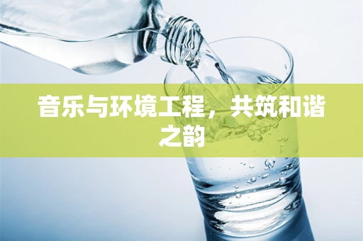 音乐与环境工程，共筑和谐之韵