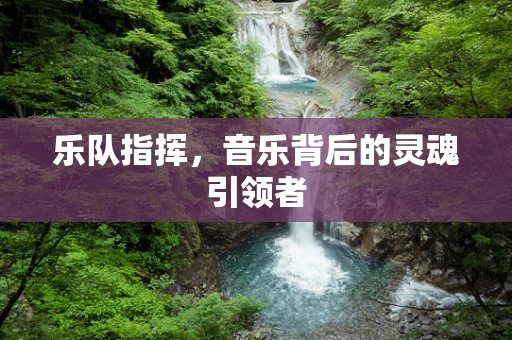 乐队指挥，音乐背后的灵魂引领者
