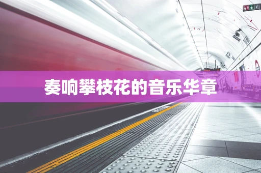 奏响攀枝花的音乐华章
