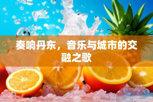奏响丹东，音乐与城市的交融之歌