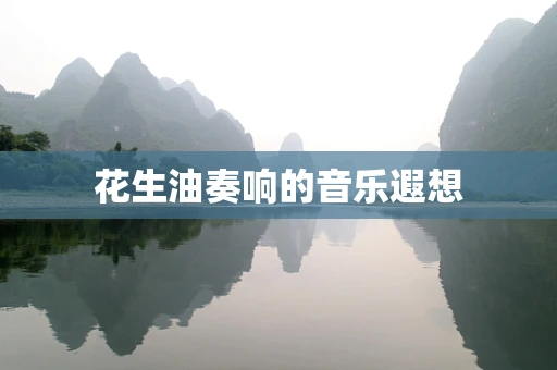 花生油奏响的音乐遐想