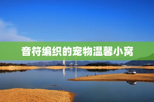 音符编织的宠物温馨小窝