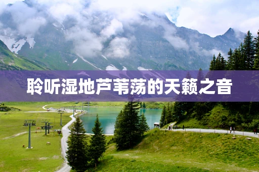 聆听湿地芦苇荡的天籁之音