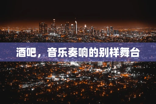 酒吧，音乐奏响的别样舞台