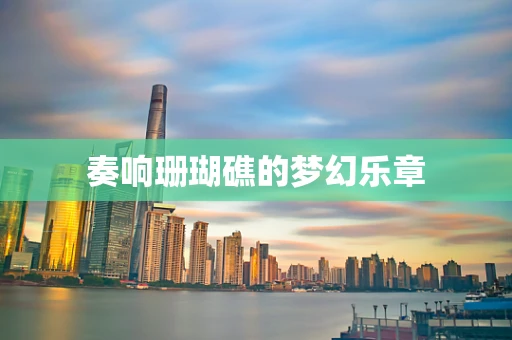 奏响珊瑚礁的梦幻乐章
