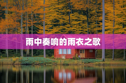 雨中奏响的雨衣之歌