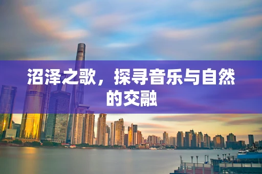 沼泽之歌，探寻音乐与自然的交融