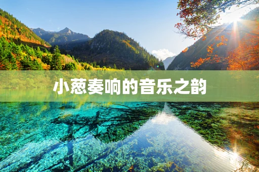 小葱奏响的音乐之韵