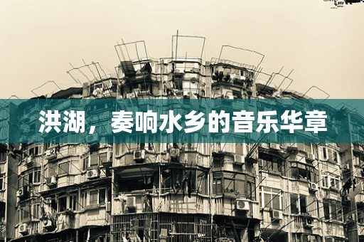 洪湖，奏响水乡的音乐华章
