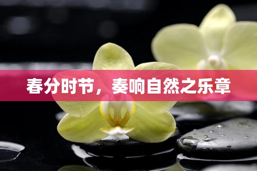 春分时节，奏响自然之乐章