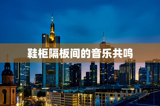 鞋柜隔板间的音乐共鸣