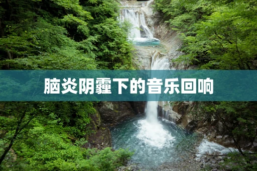 脑炎阴霾下的音乐回响