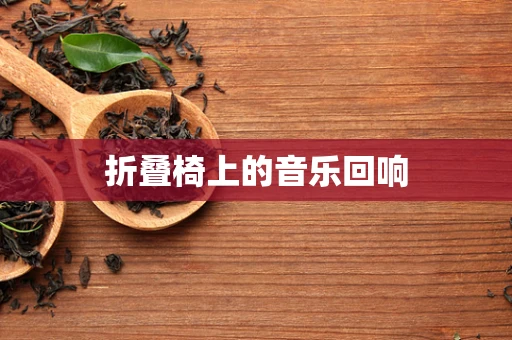 折叠椅上的音乐回响