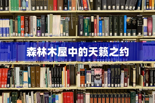森林木屋中的天籁之约