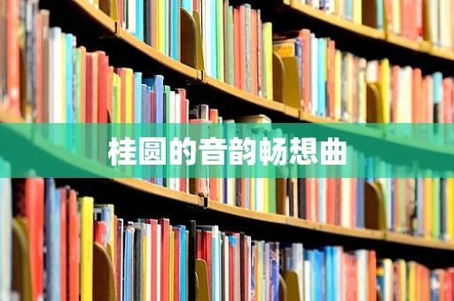 桂圆的音韵畅想曲