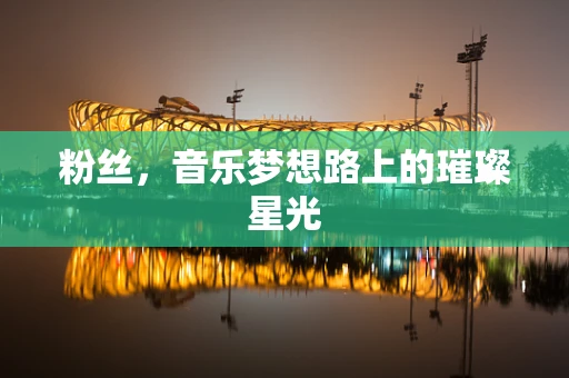 粉丝，音乐梦想路上的璀璨星光