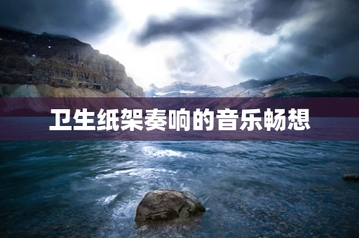 卫生纸架奏响的音乐畅想