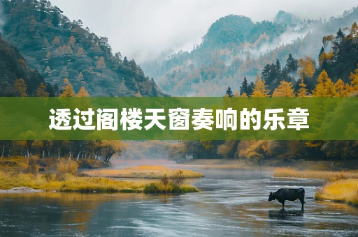 透过阁楼天窗奏响的乐章
