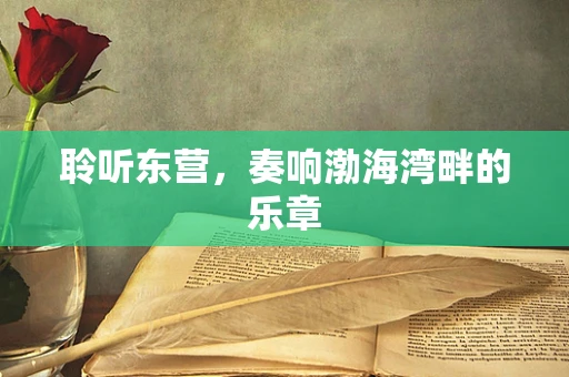聆听东营，奏响渤海湾畔的乐章