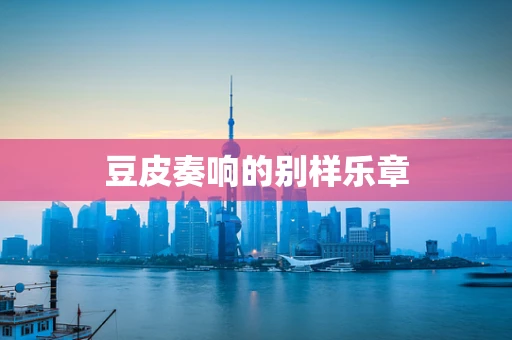 豆皮奏响的别样乐章
