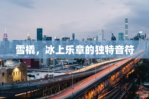 雪橇，冰上乐章的独特音符
