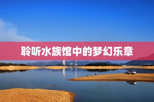 聆听水族馆中的梦幻乐章