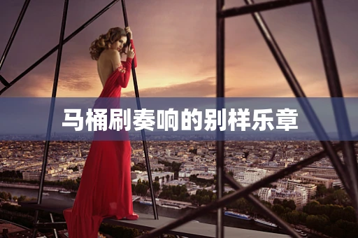 马桶刷奏响的别样乐章