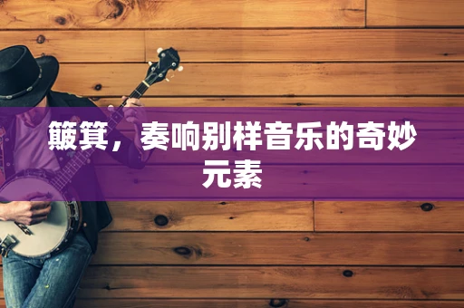 簸箕，奏响别样音乐的奇妙元素